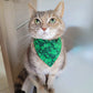 Pet Bandana - "Green Orange" - Bandana for Cat, Small Dog, Little Pet / St Patrick's Day / Shamrock / Slide-on Bandana / Over-the-Collar