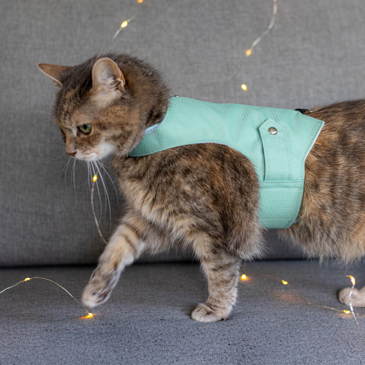 Difficult to escape Azure Cat Harness