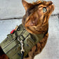 Dark khaki Fishing vest. Custom-made Water-repellent Cat Harness with Pockets for GPS-tracker