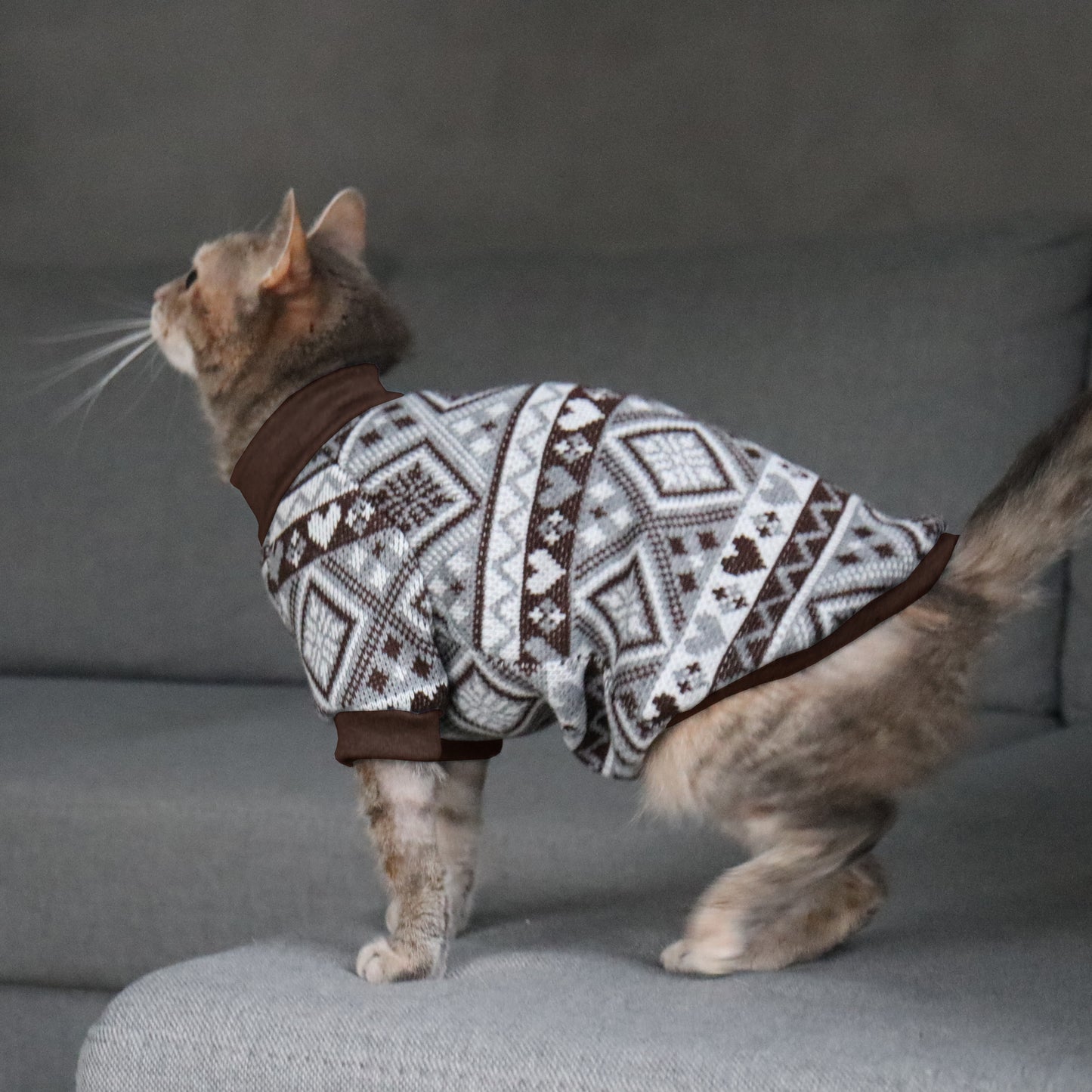 Christmas sweater for Cat. Shirt for Sphynx and all cats breeds