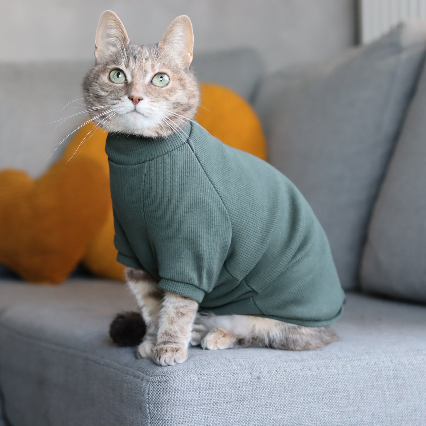 Hunter green cotton sweater for Cat. Shirt for Sphynx and all cats breeds