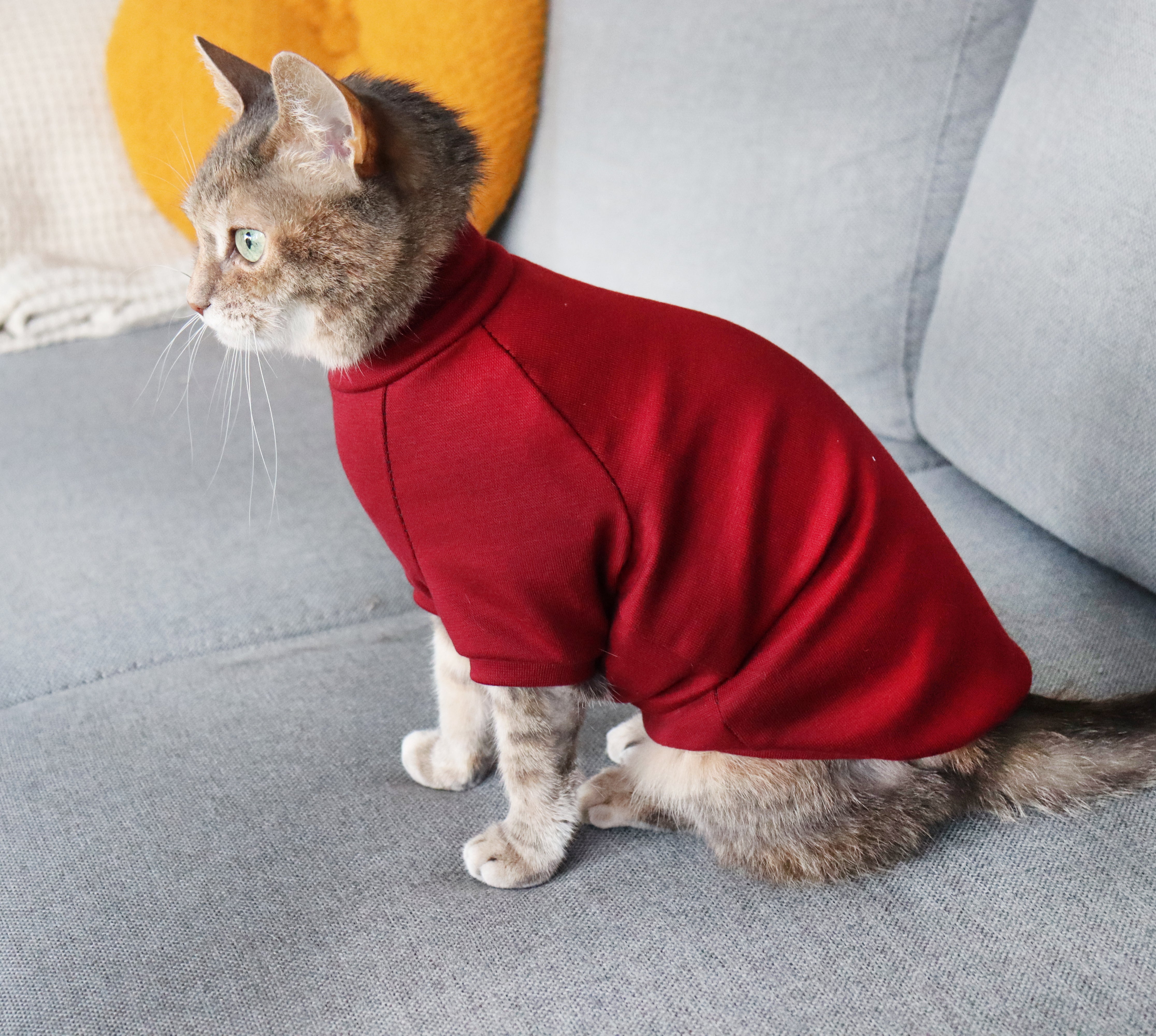 Cat hot sale in turtleneck