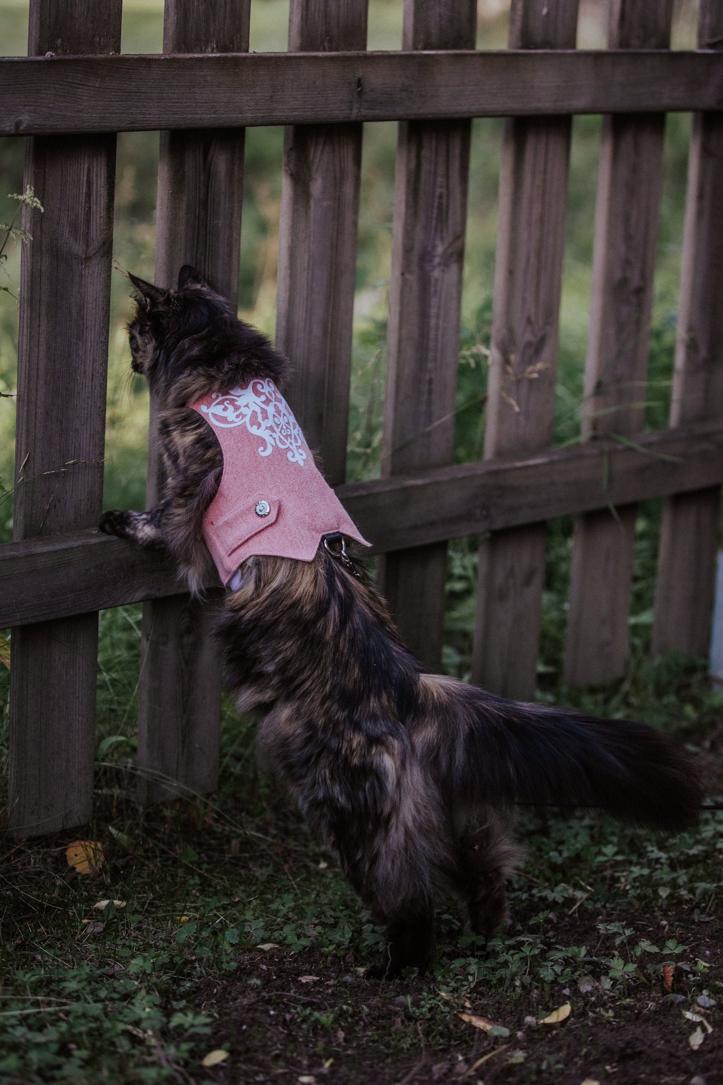 Difficult to escape pink woolen cat harness with white openwork design