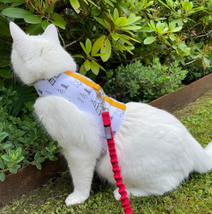 Escape proof and safety cat Breathable cotton vest with foxes Airtag Pocket Optional