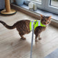 Starter kit for cat. Cotton High Visibility Neon Yellow harness with reflective stripes and 6 feet leash.