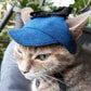 Dark blue hat for cat
