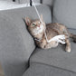 Fishing pole toy for cats and kittens