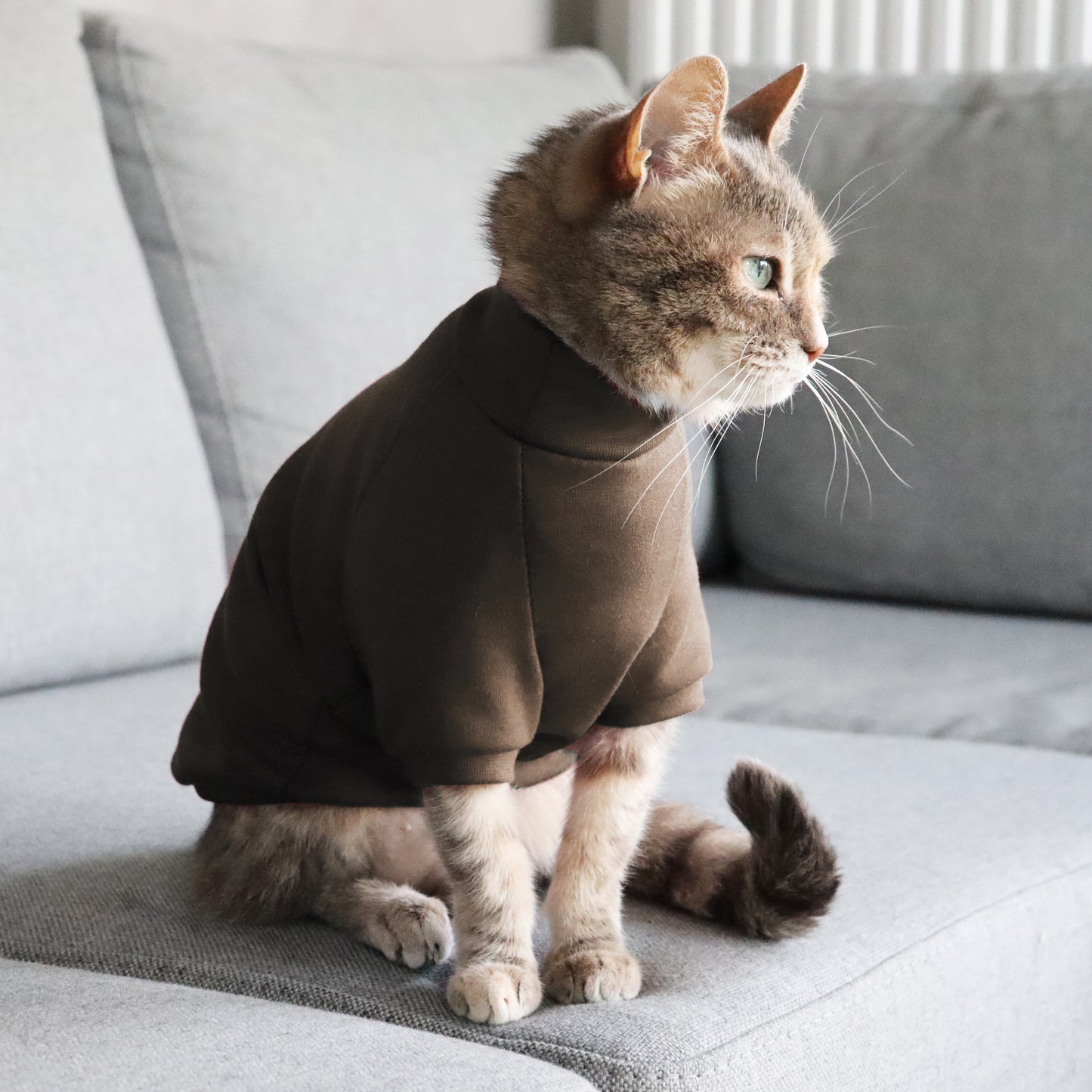 Brown cotton sweater for Cat. Shirt for Sphynx and all cats breeds