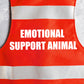 EMOTIONAL SUPPORT ANIMAL. Water-repellent Safety Cat Harness with reflective stripes