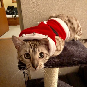 Difficult to escape Santa cat harness. Christmas vest