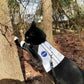 Difficult to escape personalized NASA cat harness with your cat's name and reflective stripe