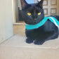 Difficult to escape high visibility water-repellent safety cat harness with reflective stripes. Light sea green