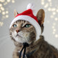 Santa Cat Hat. Christmas Cap for Cats and Kittens. Pet photo prop