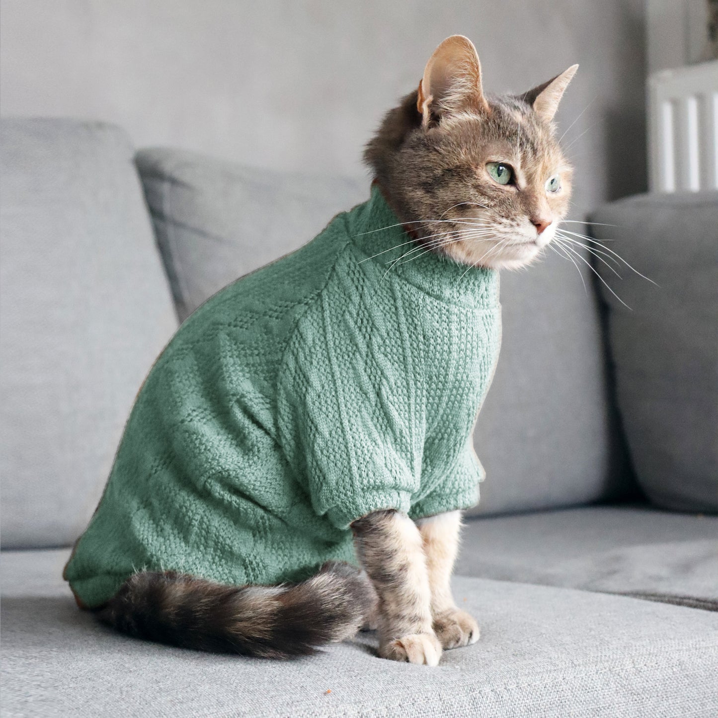 Mint sweater for Cat.  Pullover for Sphynx, hairless cats and all cats breeds