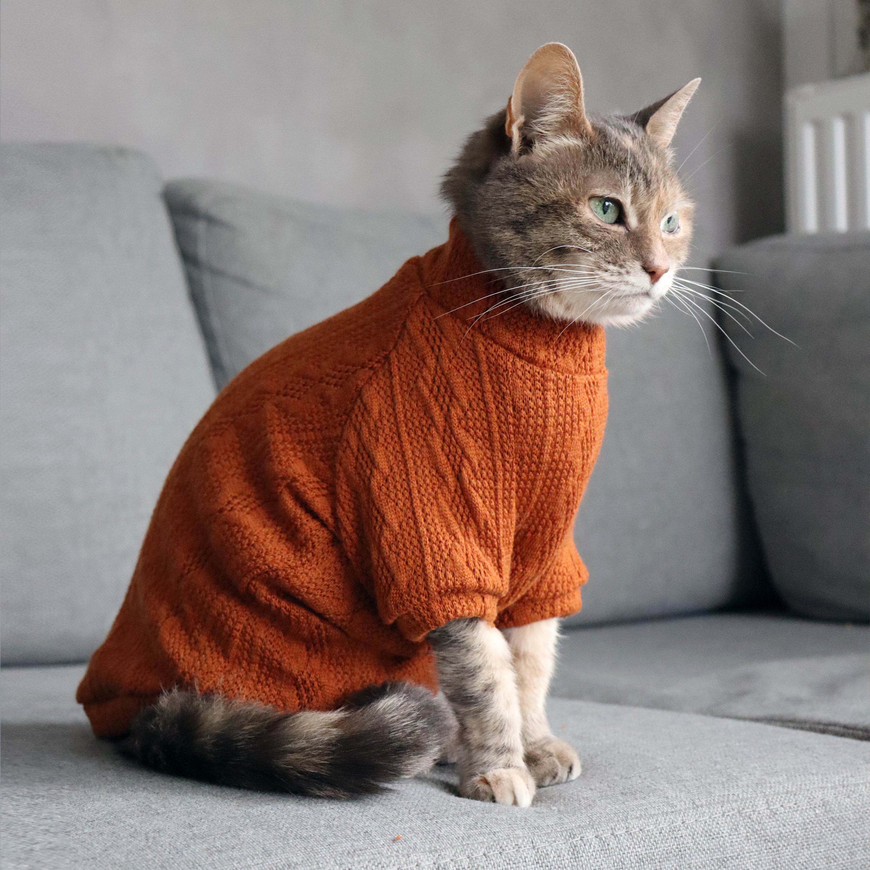 Orange 2025 cat sweater