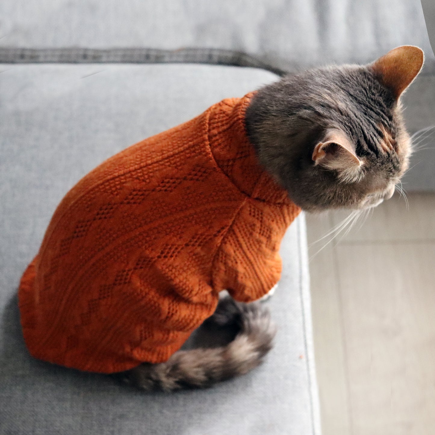 Orange sweater for Cat.  Pullover for Sphynx, hairless cats and all cats breeds