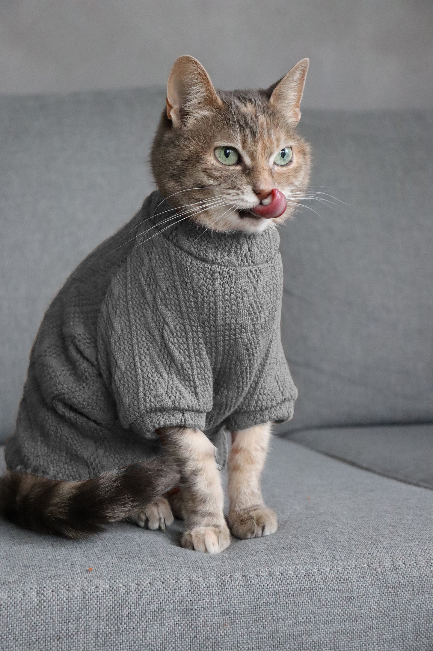 Gray sweater for Cat.  Pullover for Sphynx, hairless cats and all cats breeds